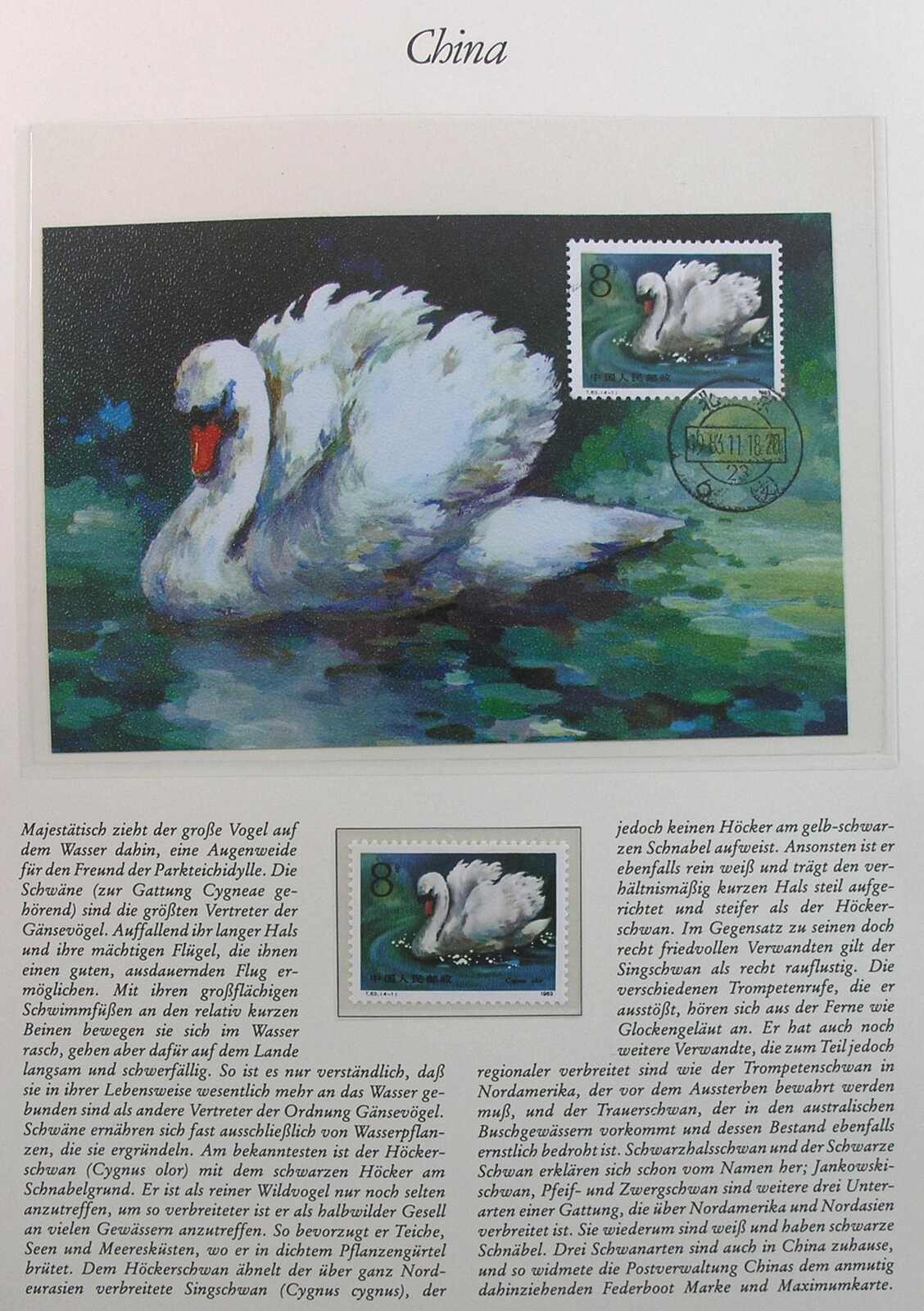 Image 29 for lot number 1158 for Auktionshaus Weiser - 788th Auction