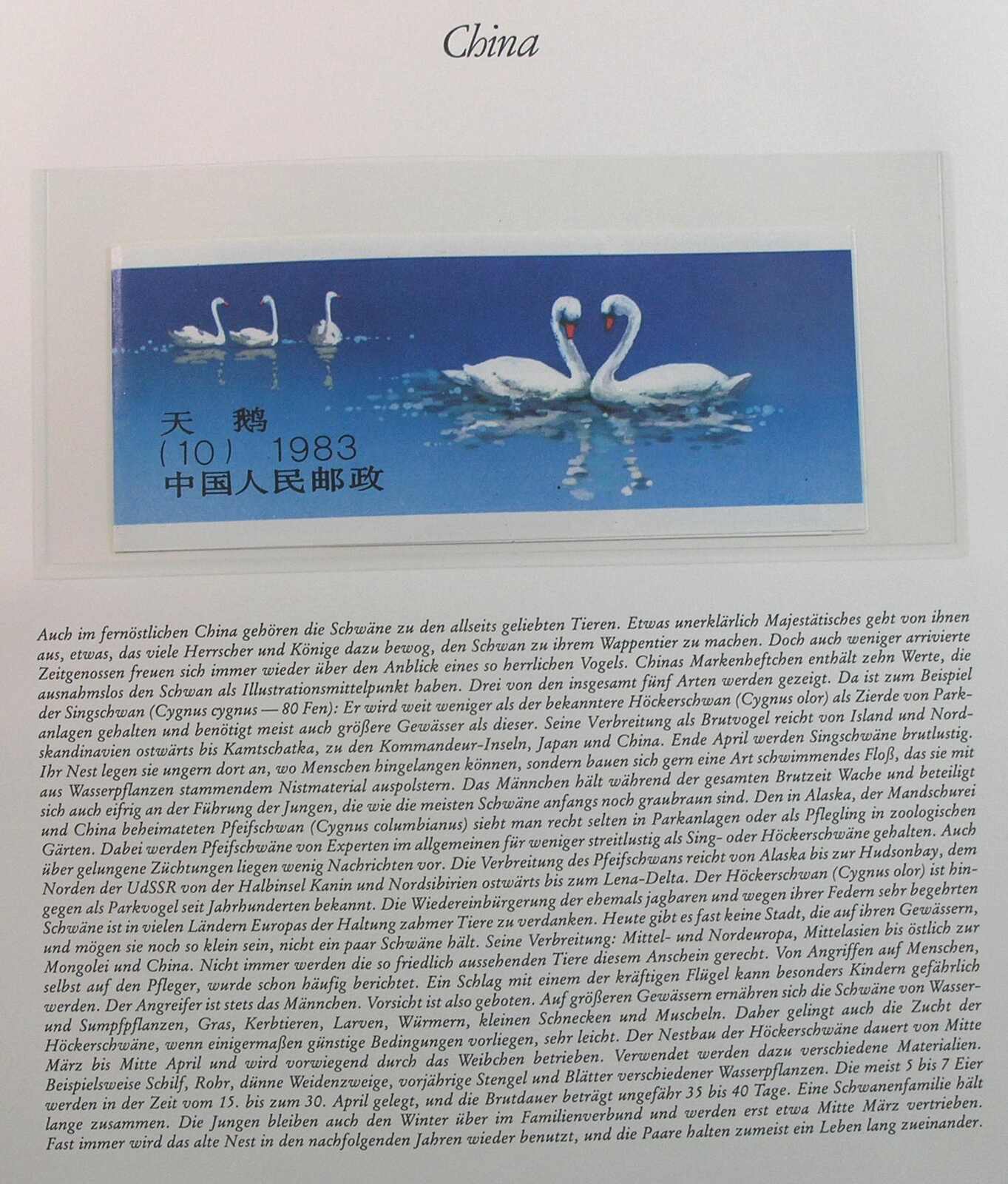 Image 30 for lot number 1158 for Auktionshaus Weiser - 788th Auction