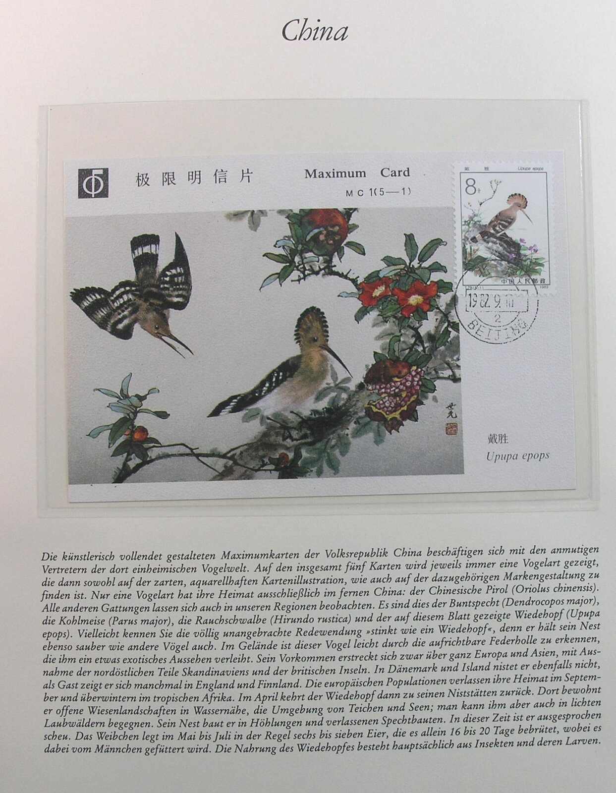 Image 18 for lot number 1158 for Auktionshaus Weiser - 788th Auction