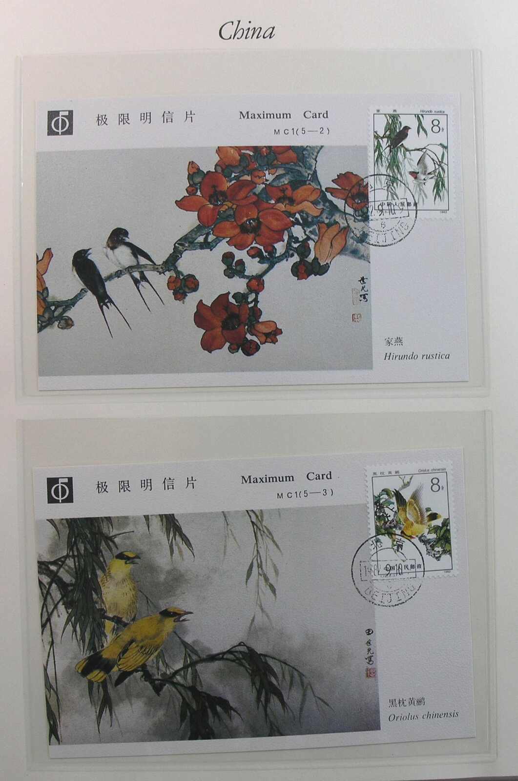 Image 19 for lot number 1158 for Auktionshaus Weiser - 788th Auction