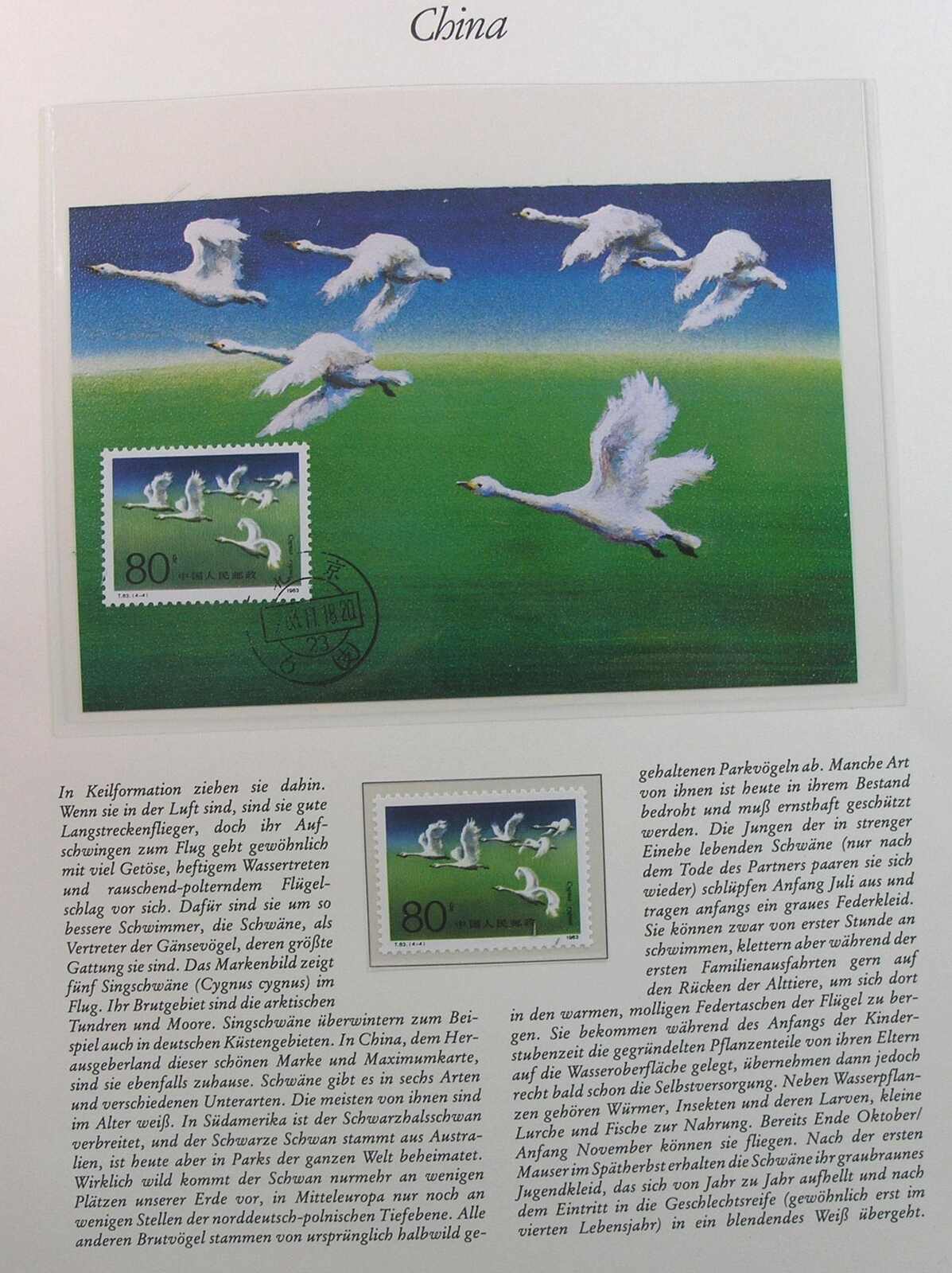 Image 26 for lot number 1158 for Auktionshaus Weiser - 788th Auction