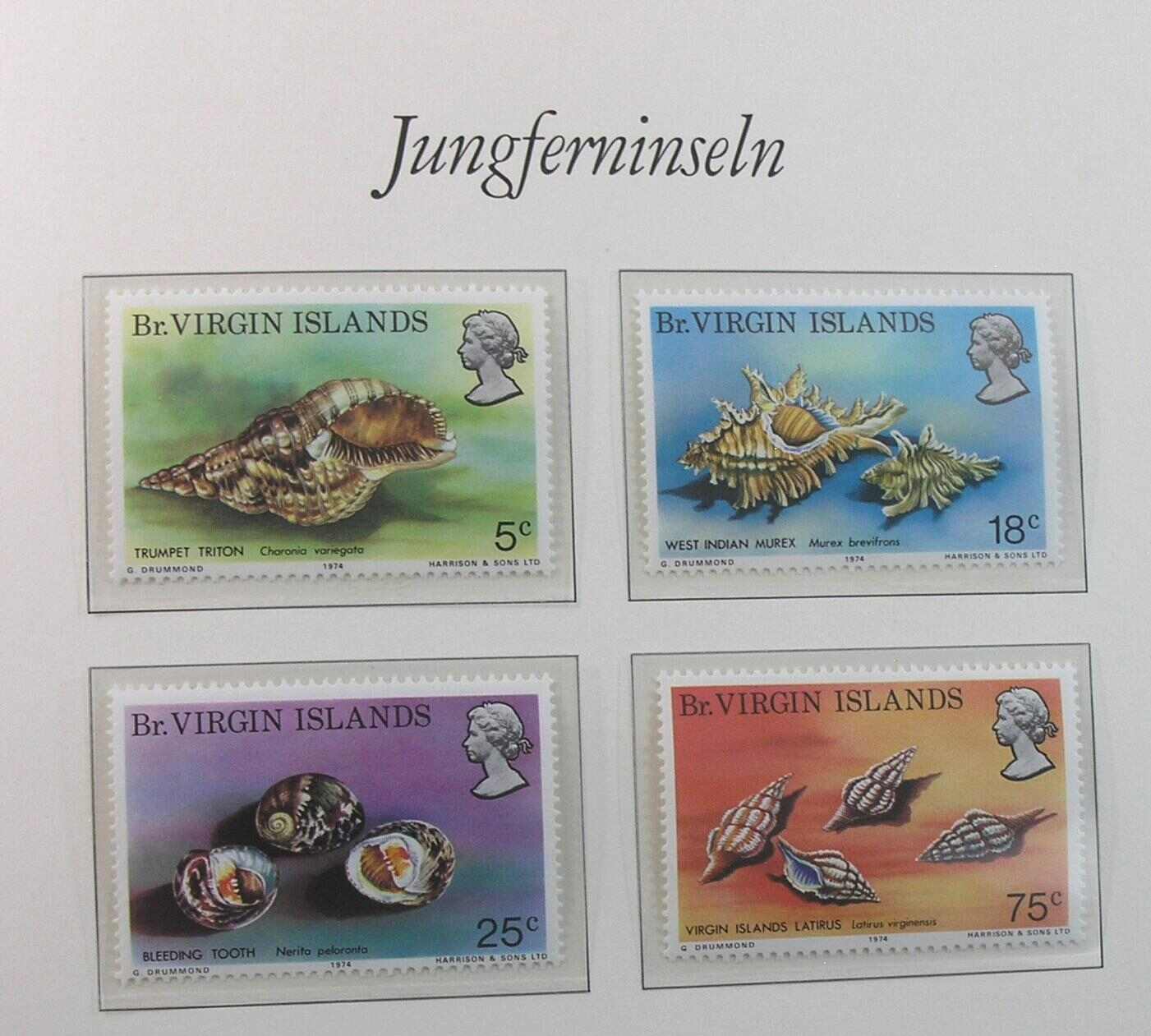 Image 38 for lot number 1163 for Auktionshaus Weiser - 788th Auction