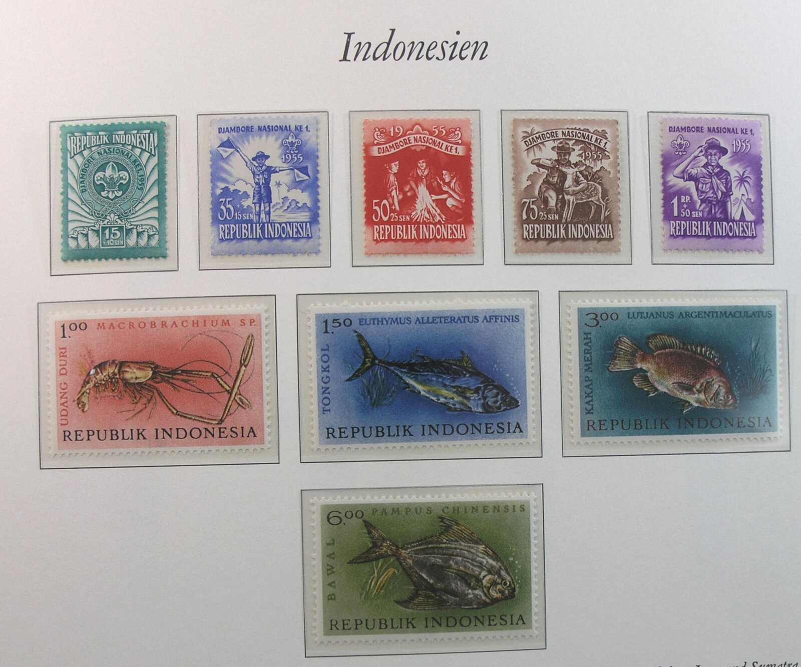 Image 4 for lot number 1163 for Auktionshaus Weiser - 788th Auction