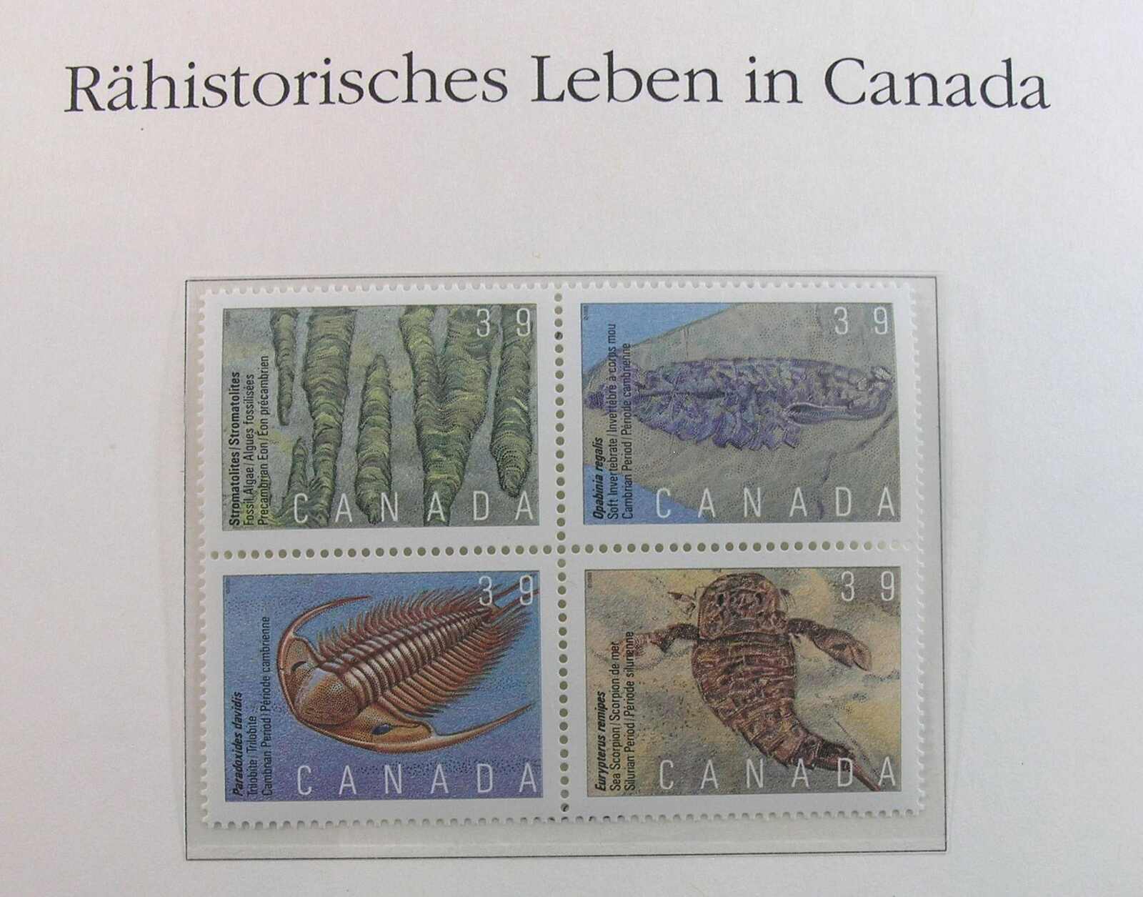 Image 5 for lot number 1164 for Auktionshaus Weiser - 788th Auction