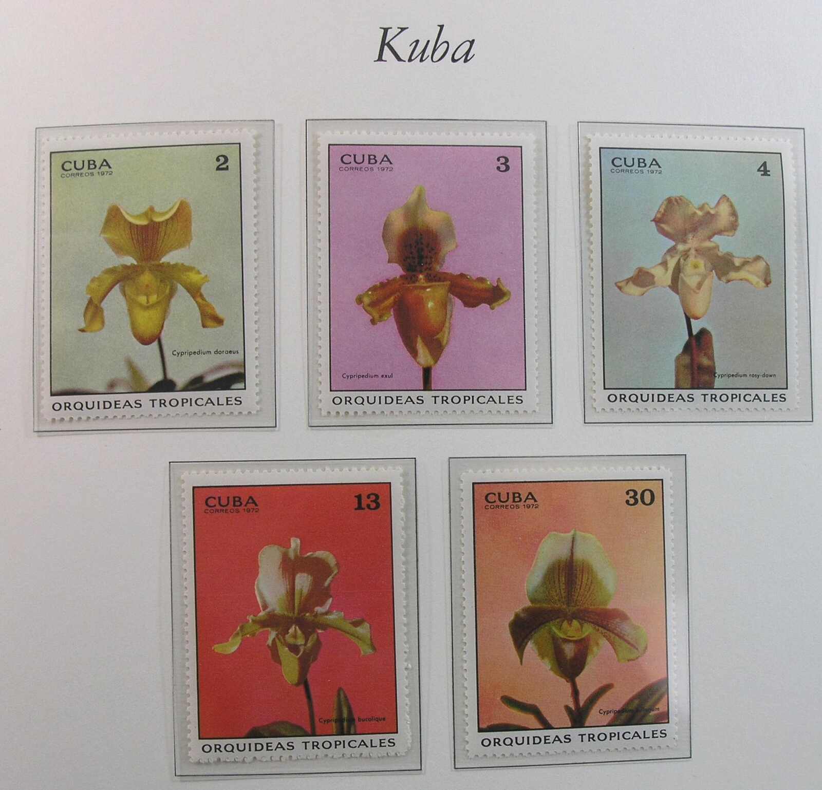 Image 21 for lot number 1164 for Auktionshaus Weiser - 788th Auction