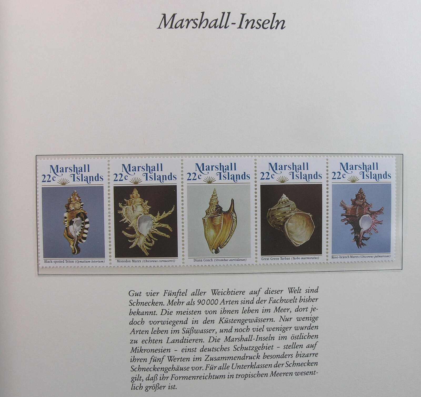 Image 11 for lot number 1165 for Auktionshaus Weiser - 788th Auction