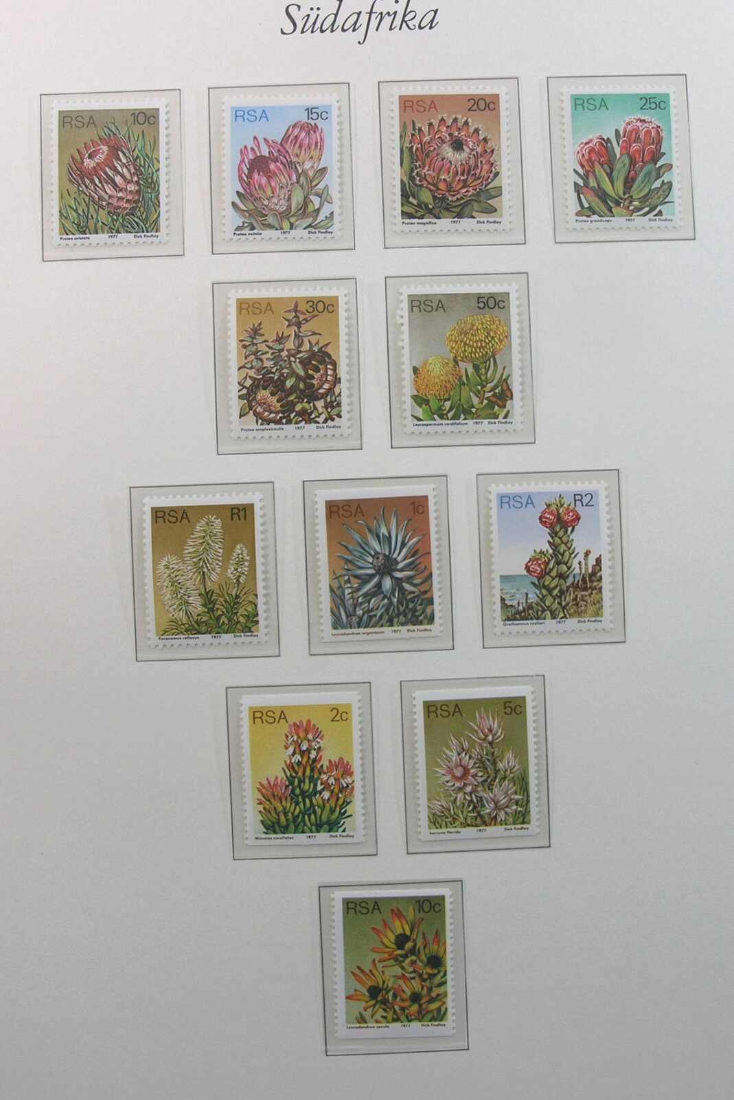 Image 28 for lot number 1168 for Auktionshaus Weiser - 788th Auction