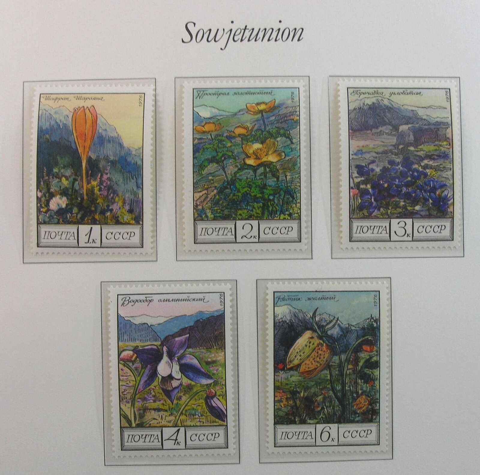 Image 4 for lot number 1168 for Auktionshaus Weiser - 788th Auction