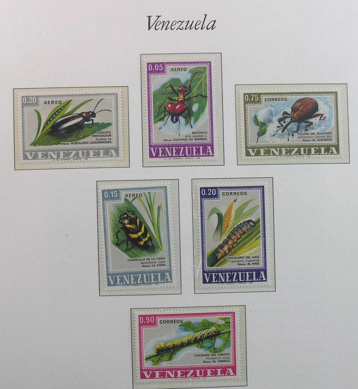 Image 15 for lot number 1170 for Auktionshaus Weiser - 788th Auction