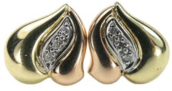 550.60: Schmuck, Ohrschmuck