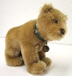 700.20: Teddies