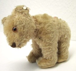 700.20: Teddies