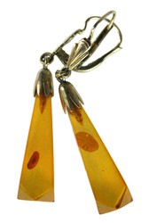 550.60: Schmuck, Ohrschmuck
