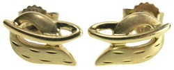 550.60: Schmuck, Ohrschmuck