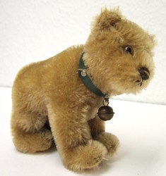 700.20: Teddies