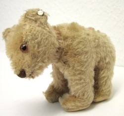 700.20: Teddies