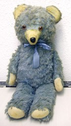 700.20: Teddies