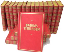 40.10.70: Bücher - Autografen, Bücher, Kinder und Jugendbücher