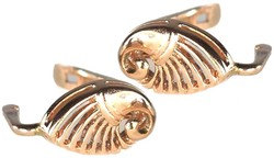 550.60: Schmuck, Ohrschmuck