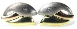 550.60: Schmuck, Ohrschmuck