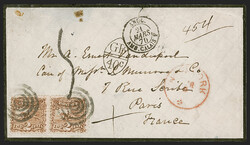 2c Brown (113). Pair, tied by target cancels, red "New-York Mar. 9" ...