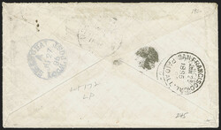 2c Carmine (220). Two, used with 1c Dull Blue (219), tied by "U.S. ...