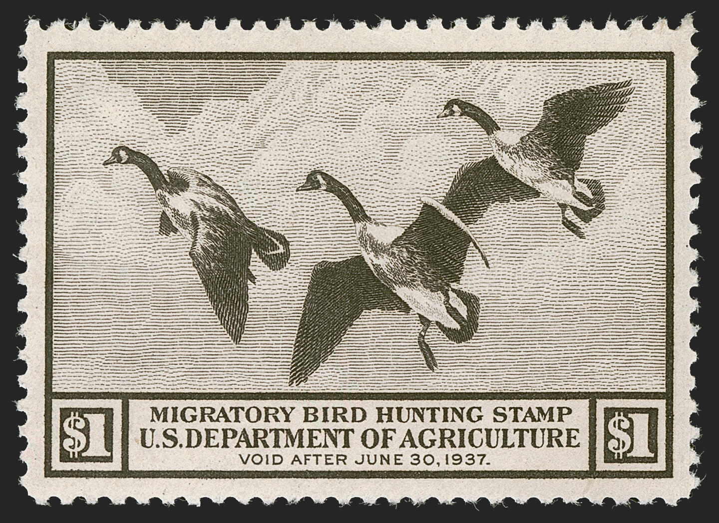 $1.00 Brown Black, 1936 Hunting Permit (RW3). Mint N.H., deep rich ...