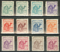 6000: Spanish Sahara