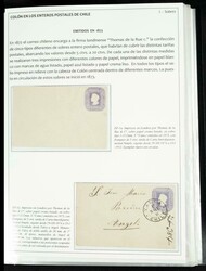 (1873ca). Espectacular colección temática COLON EN LOS ENTEROS ...