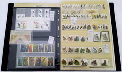 842000: Animals, Birds, general