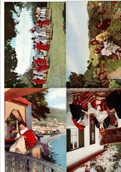 Illustrated Advertising Postcards. Set of 15 different advertising ...