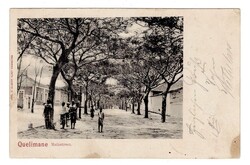 Illustrated Postcards Mozambique. Quelimane – main street – PB