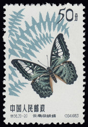 2245: China VR