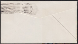 Swap image