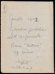 1902 GENOVA - ASCENSIONE LIBERA DEL PALLONE "CENTAURO". Fotografia ...
