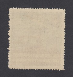 1919 VOLO VIENNA PADOVA. Vignetta erinnofilo MNH del Collegamento ...