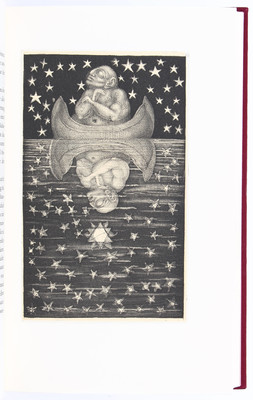 Schubert/Fuchs, Symbolik des Traumes