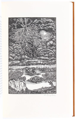 Harvey/Brylka, Bewegung des Herzens