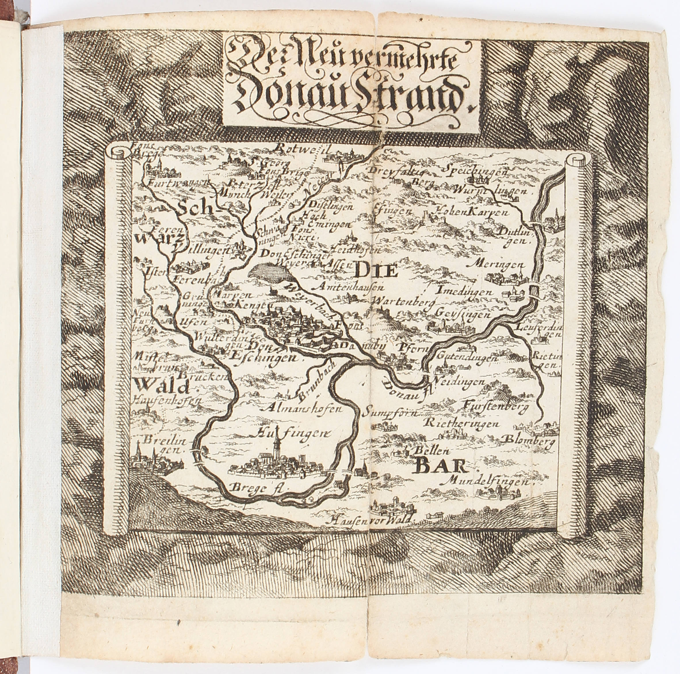 Birken, Donau-Strand