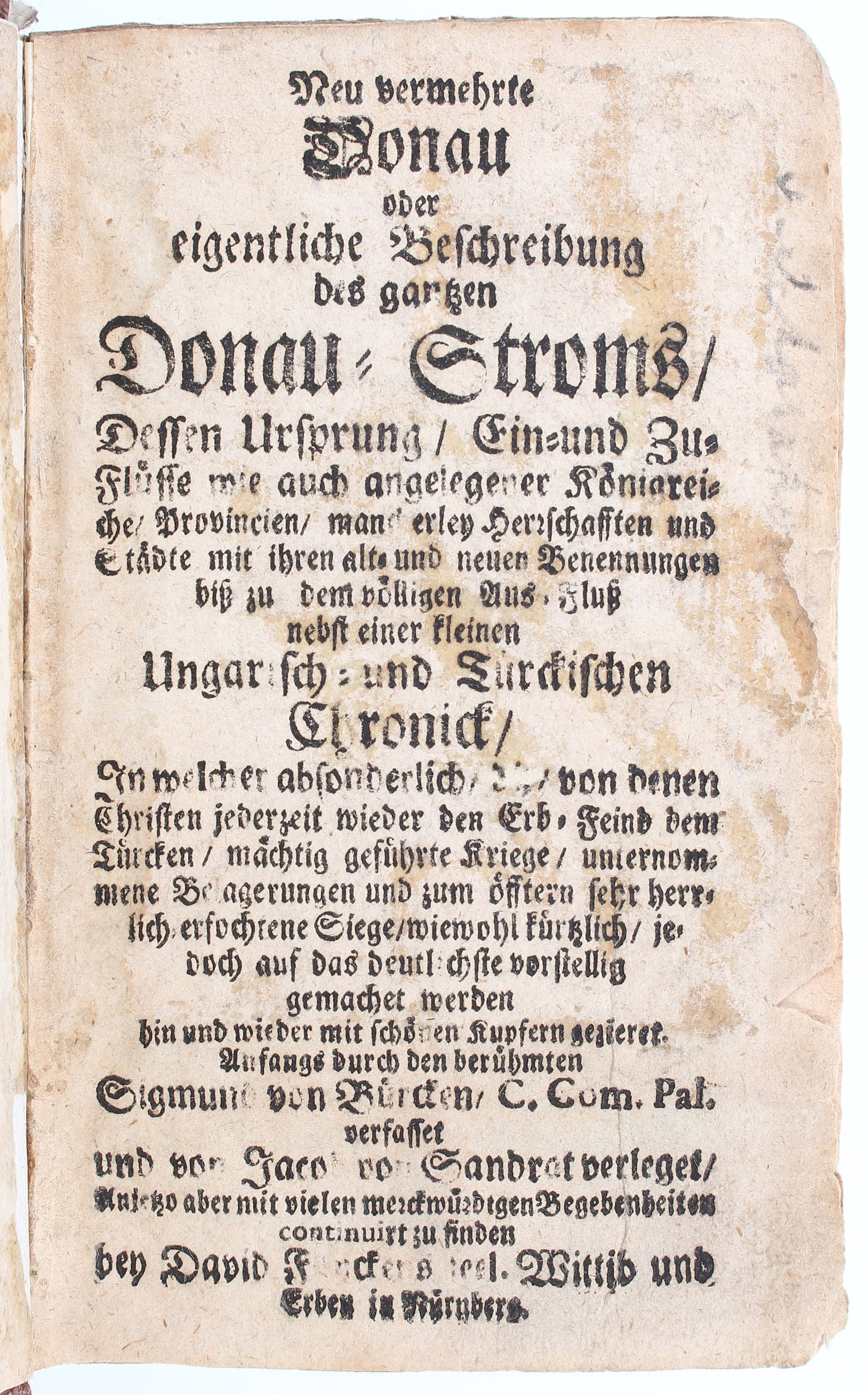 Birken, Donau-Strand