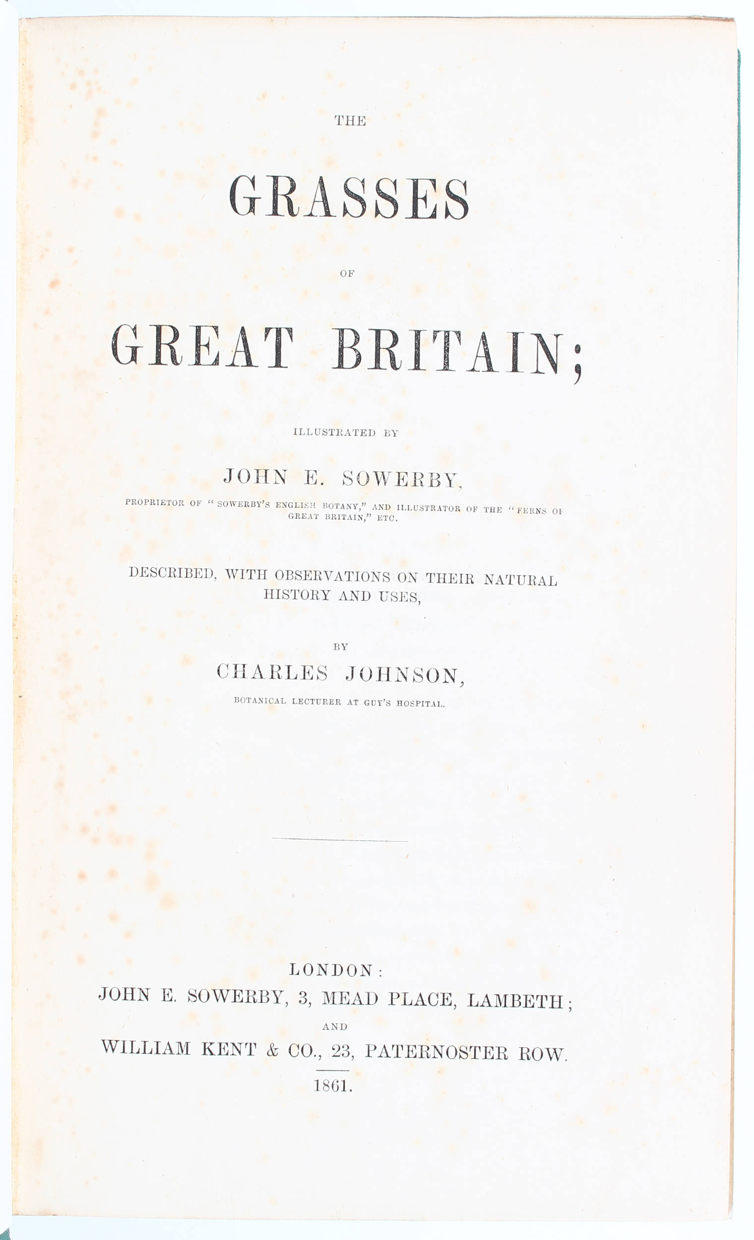 Johnson/Sowerby, Grasses of Great Britain