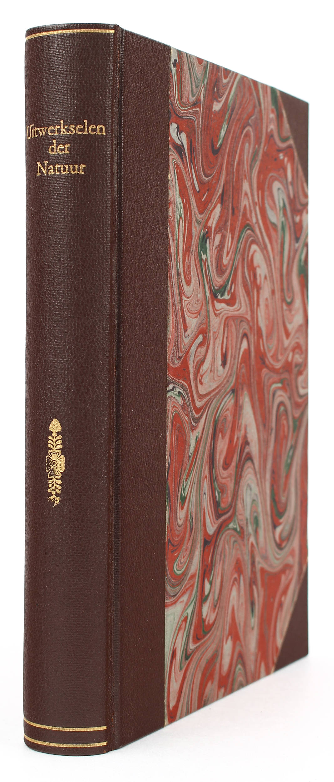 Vallemont, Naauw-keurige Waarneemingen