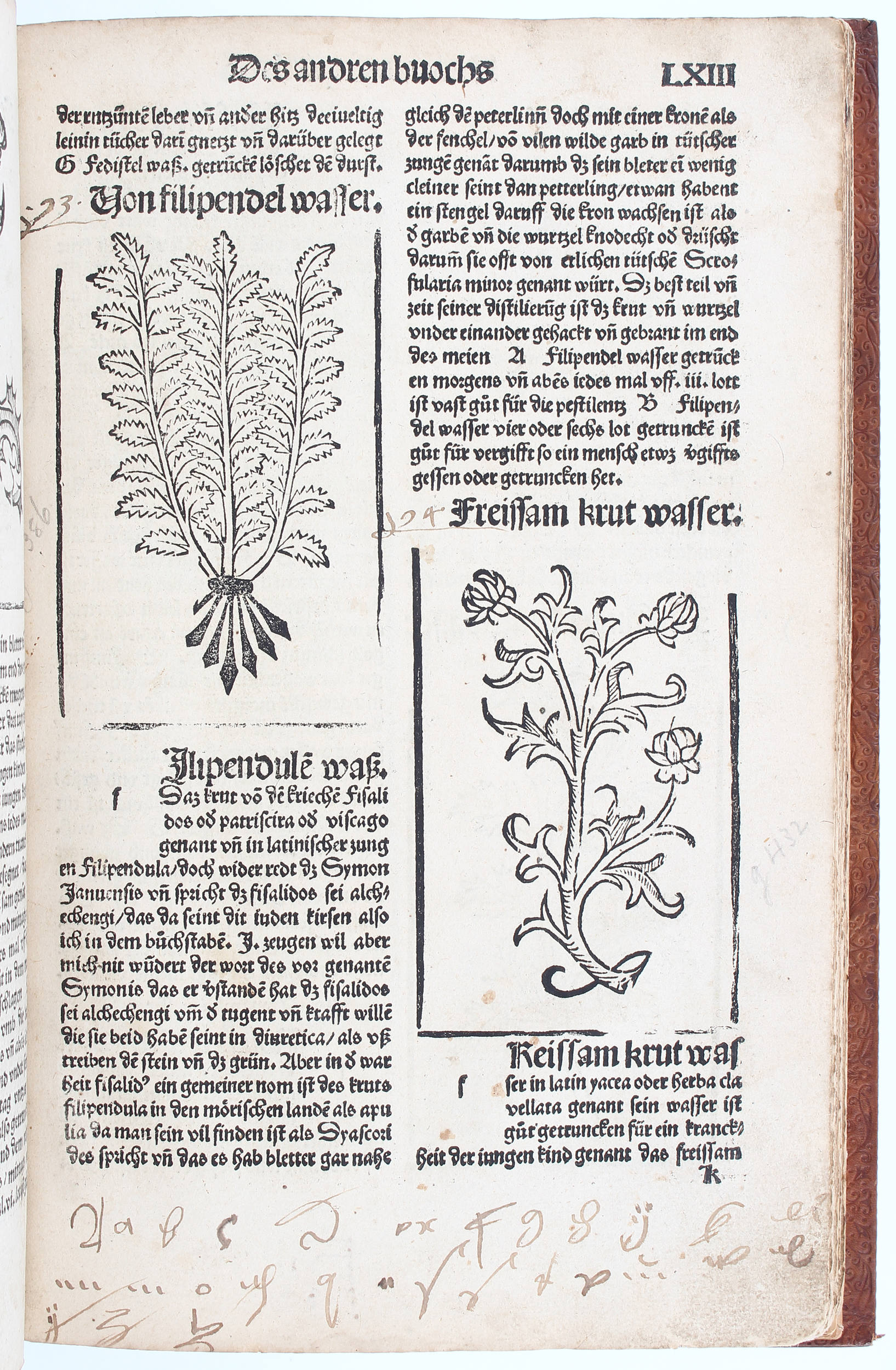Brunschwig, Distilierbuch