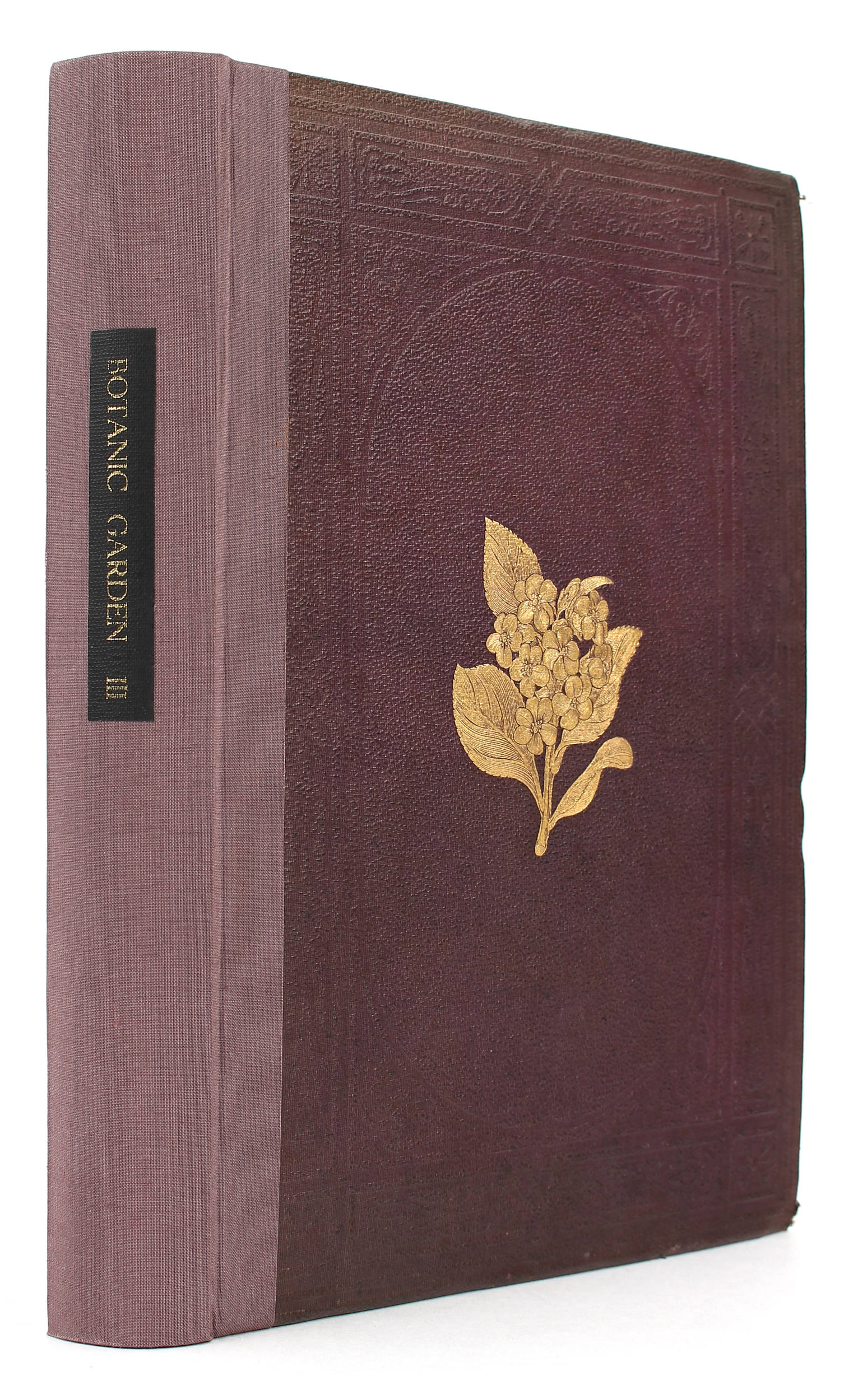Maund, Botanic Garden 1878. Bd. 3