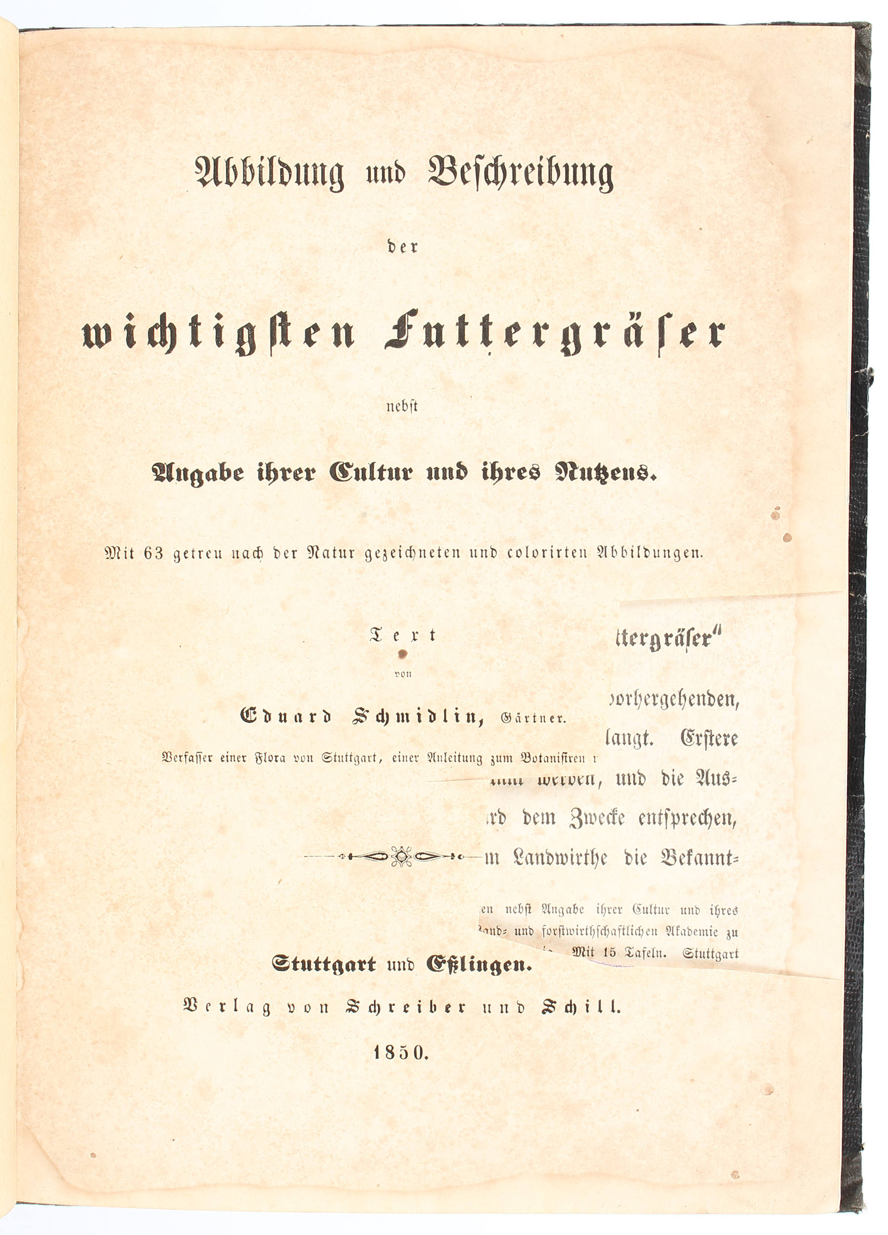 Schmidlin, Futtergräser