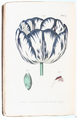 Curtis, Lectures on botany. 3 Bde.