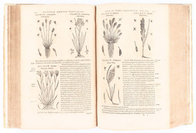 Dalechamps, Historia generalis. 2 Bde.