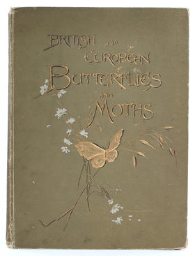 Kappel & Kirby, Butterflies