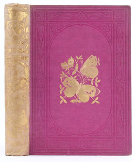 Morris, British butterflies