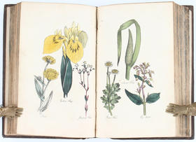 Hill, The family herbal